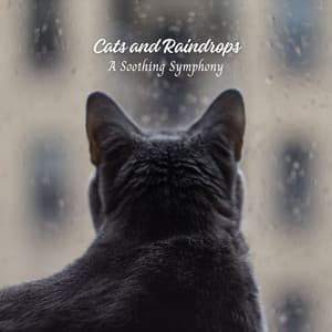 Cats and Raindrops: A Soothing Symphony - Rain Studios