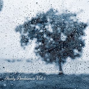 Heavy Rain and Thunderstorm Study Ambience Vol. 1 - Rain In Spain