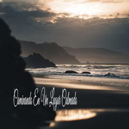 Caminando En Un Lugar Calmado - Música Relajante