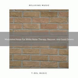 2021 New: Modulated Noise For White Noise Therapy, Recover, And Good Omens - White Noise Sound Garden