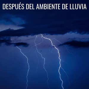 Después Del Ambiente De Lluvia - La biblioteca de la lluvia