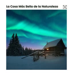 La Cosa Más Bella de la Naturaleza - Sonidos de la Naturaleza para Dormir