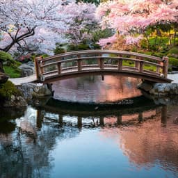 Melodías Lofi Tranquilas: Ritmos Suaves Para Masajes - Musica estetica