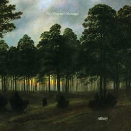 Affinity - Nils Wogram