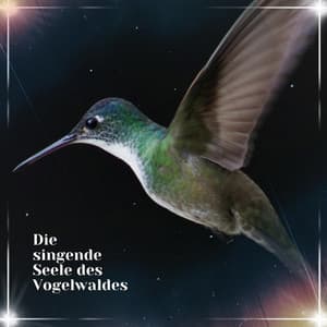 Die singende Seele des Vogelwaldes - Vogelstimmen