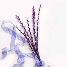 Jazz Organ - Bgm for Mental Health Days - Jazz for Hotel Lobbies