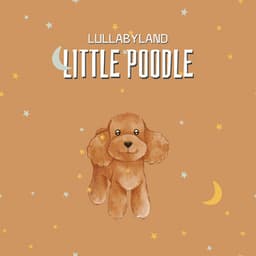Little Poodle - Lullabyland
