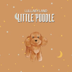 Little Poodle - Lullabyland
