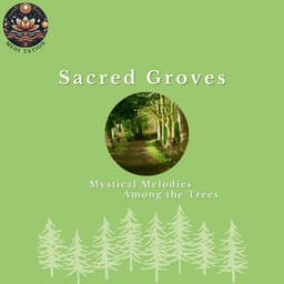 The Heart of the Forest: Melodic Pathways Through Nature - Medi Tation
