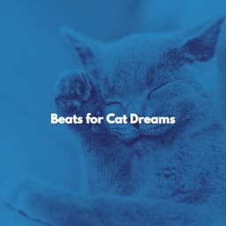 Beats for Cat Dreams - Acoustic Study Music Beats