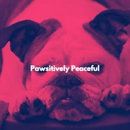 Pawsitively Peaceful - Romantic Jazz Music Lovers Club