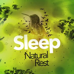 Sleep: Natural Rest - Deep Sleep Nature Sounds