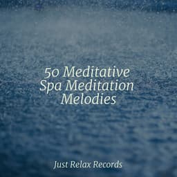 50 Meditative Spa Meditation Melodies - Meditation
