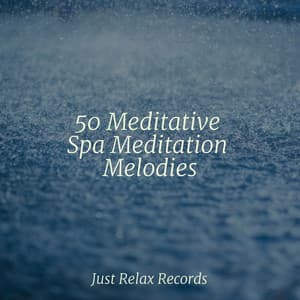 50 Meditative Spa Meditation Melodies - Meditation