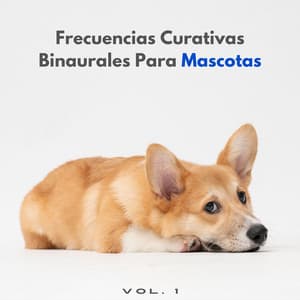 Frecuencias Curativas Binaurales Para Mascotas Vol. 1 - Musicoterapia con mascotas