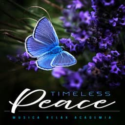 Timeless Peace - Musica Relax Academia