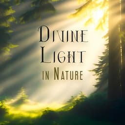Divine Light in Nature: Feel Powerful to Transform Yourself - Exotic Nature Kingdom