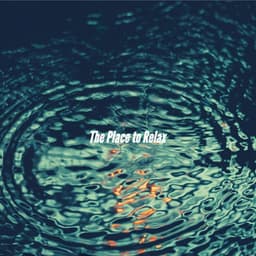 The Place to Relax - Restaurant Music Deluxe