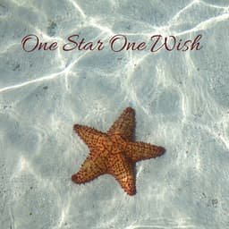 One Star One Wish - Beach Top Sounders