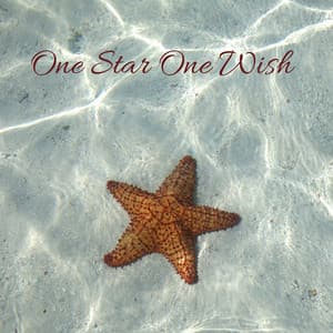 One Star One Wish - Beach Top Sounders