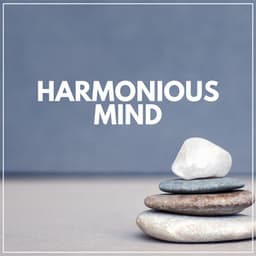 Harmonious Mind - Paz Interior