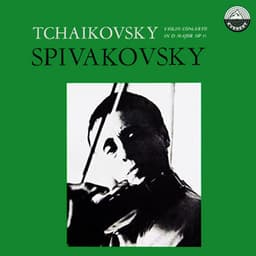Tchaikovsky: Violin Concerto in D Minor & Melody, Op. 42 No. 3 - Pyotr Ilyich Tchaikovsky