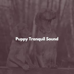 Puppy Tranquil Sound - Musica para Estudiar