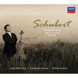 Schubert: Arpeggione Sonata, Piano Trio No.2, Serenade - Franz Schubert