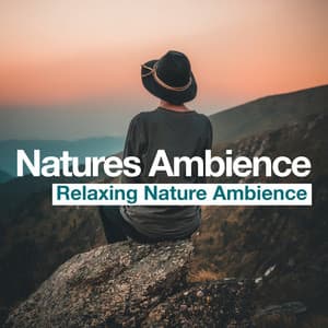 Natures Ambience - Relaxing Nature Ambience
