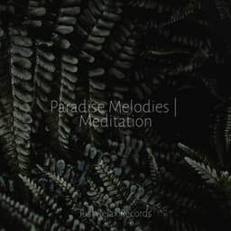 Paradise Melodies | Meditation - Music For Absolute Sleep