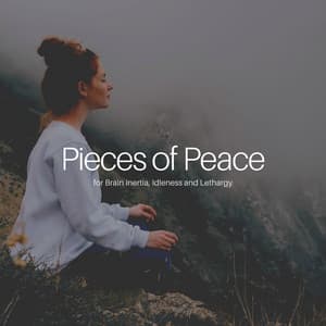 * Pieces of Peace for Brain Inertia, Idleness and Lethargy * - Instrumental Sleeping Music