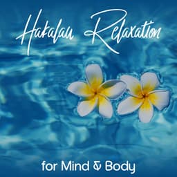 Hakalau Relaxation for Mind & Body - Body Harmony Music Consort