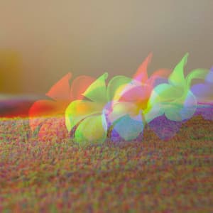 Echoes of Comforting Kindness - Dreamtime Music