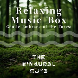 Relaxing Music Box: Gentle Embrace of the Forest - The Binaural Guys