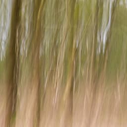 365 Zen: The Key To Calm - between waves