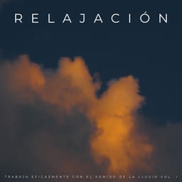 Relajación: Trabaja Eficazmente Con El Sonido De La Lluvia Vol. 1 - Relajacion y Serenidad