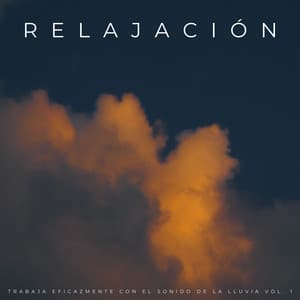 Relajación: Trabaja Eficazmente Con El Sonido De La Lluvia Vol. 1 - Relajacion y Serenidad