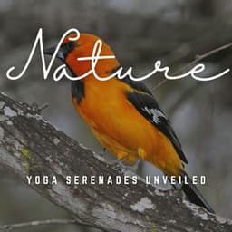 Yoga Serenades Unveiled: Melodic Asanas - Yoga Soul