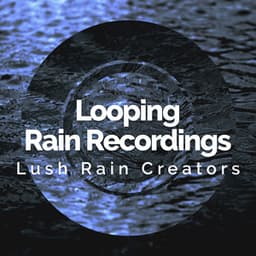 Looping Rain Recordings - Lush Rain Creators