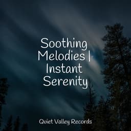 Soothing Melodies | Instant Serenity - Gentle Rain Makers
