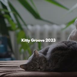 Kitty Groove 2023 - Office Background Music Playlists