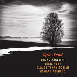 Open Land - Bruno Angelini