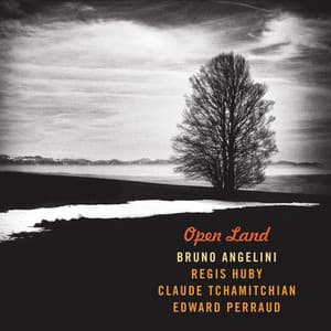 Open Land - Bruno Angelini