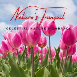 Nature's Tranquil Whispers: Meditative Melodies for Serenity - Christian Instrumental Music