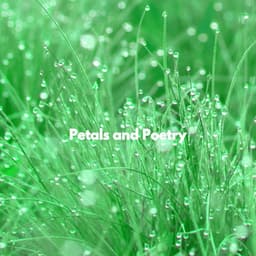 Petals and Poetry - Jazz Instrumental Chill