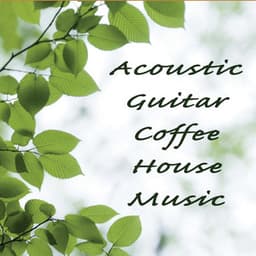 Acoustic Guitar Coffee House Music - Steve Petrunak