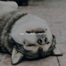 チル・ケイナイン・グルーブ - Cafe de Musica Instrumental