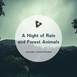 A Night of Rain and Forest Animals - Nature Atmospheres