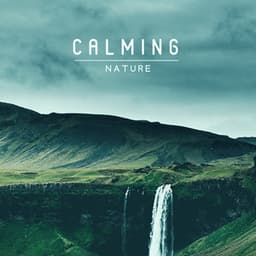 Calming Nature: Relaxing Moments, Touch of Nature, Calmly Sounds - Relaxing Nature Sounds Collection