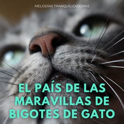 El País De Las Maravillas De Bigotes De Gato: Melodías Tranquilizadoras - Tarde relajante